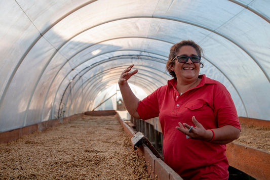 Café du Honduras