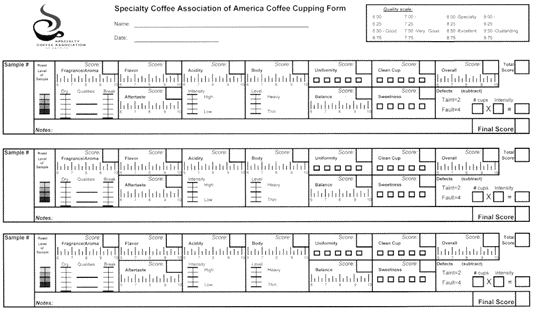 Comment sont notés les cafés de spécialités ?