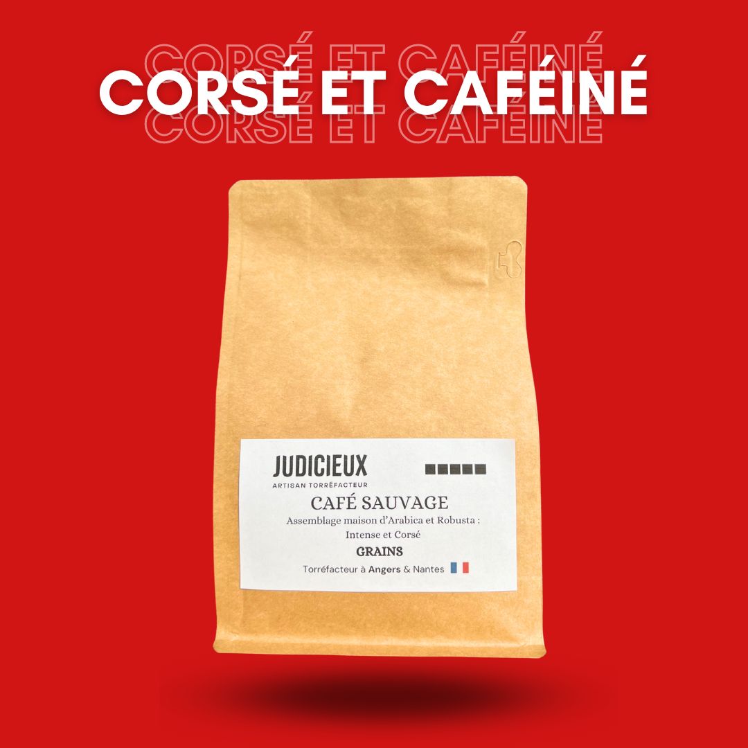Café Sauvage - Assemblage