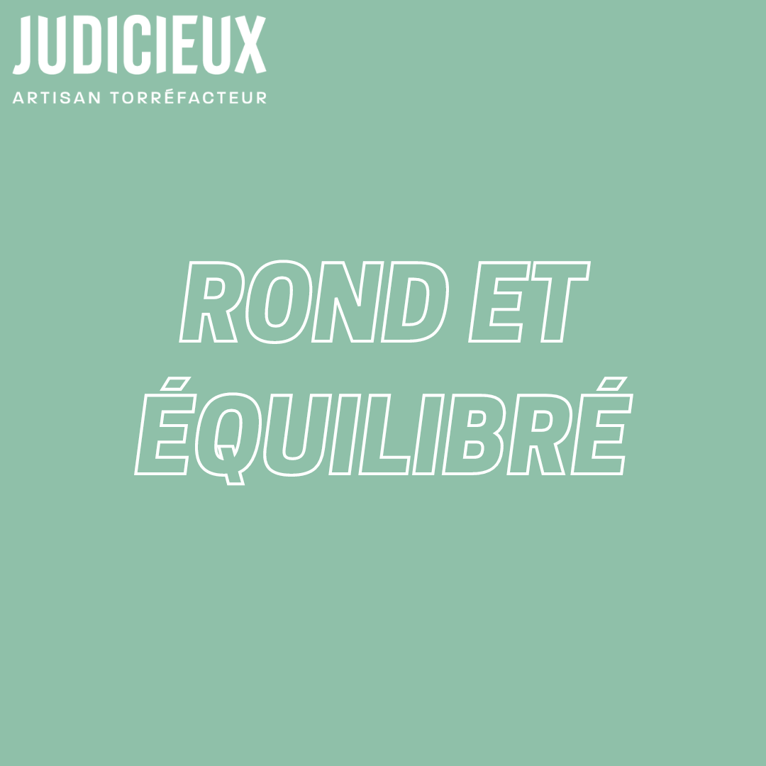 JUSTE - Brésil