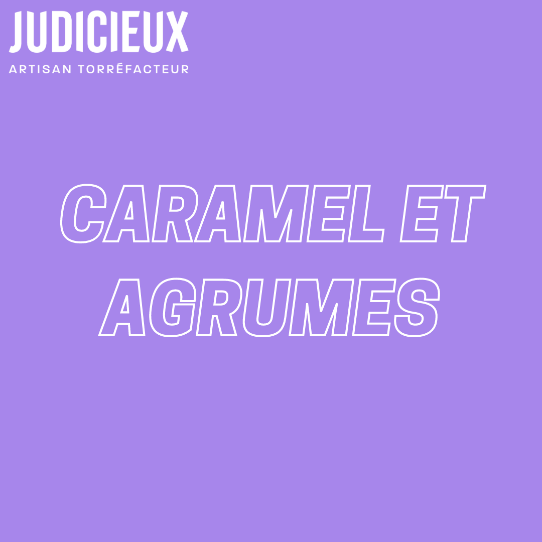 GRAIN DE CAFE - Nouvelle Guinée Papouasie