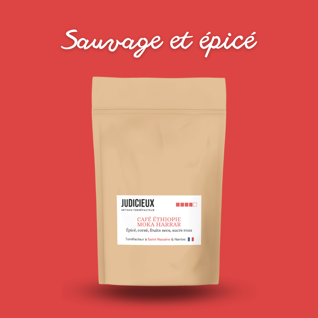 Café Harrar Ethiopie Torréfacteur à Nantes