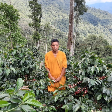 Producteur de café au pérou