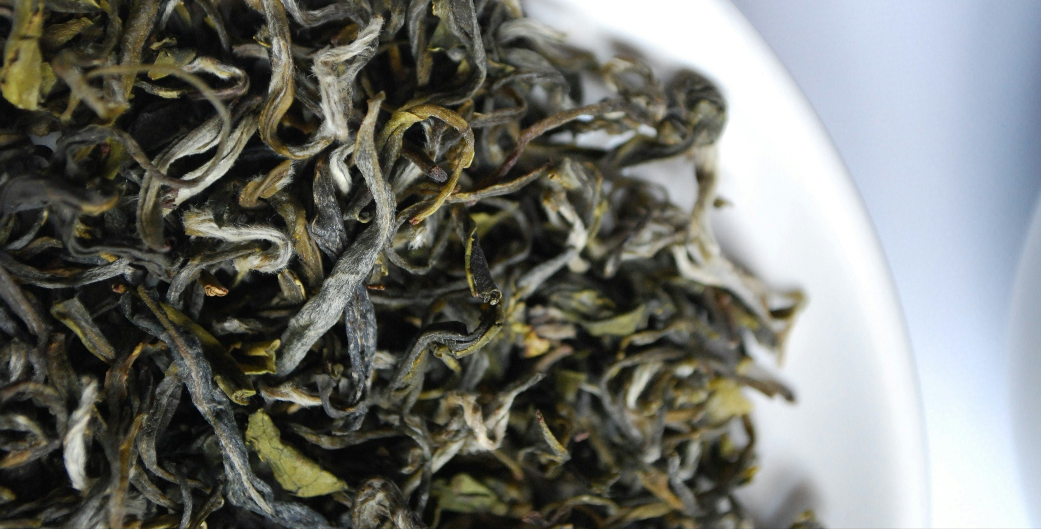 Thé Dammann Frères Nantes