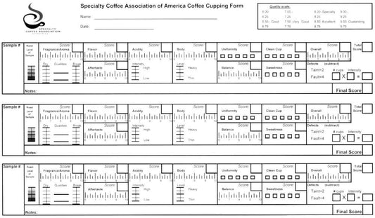 Score SCA : comment sont notés les cafés de spécialités ?