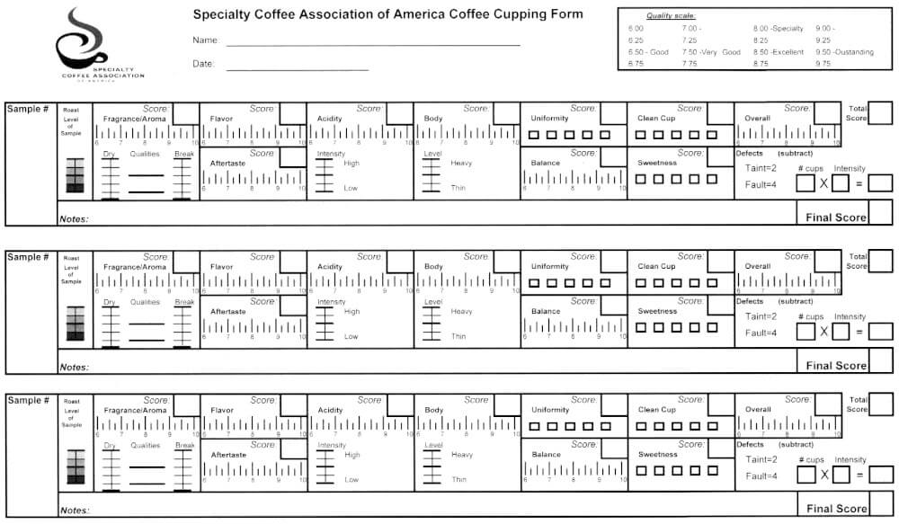 Score SCA : comment sont notés les cafés de spécialités ?