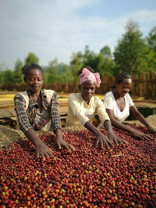 Café d'Ethiopie