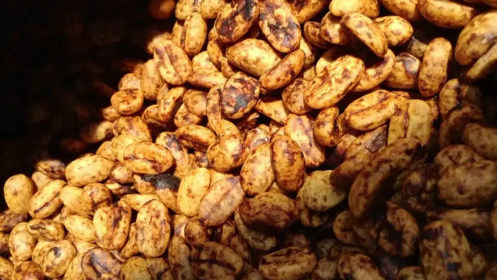 La méthode Honey Process : qu’est ce que c’est ?