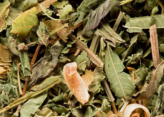 Tisane du Berger - DAMMANN