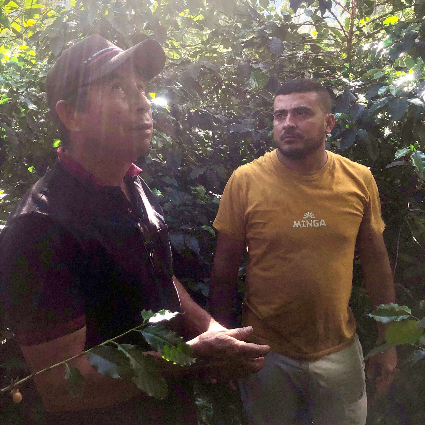 Producteurs de café en Colombie