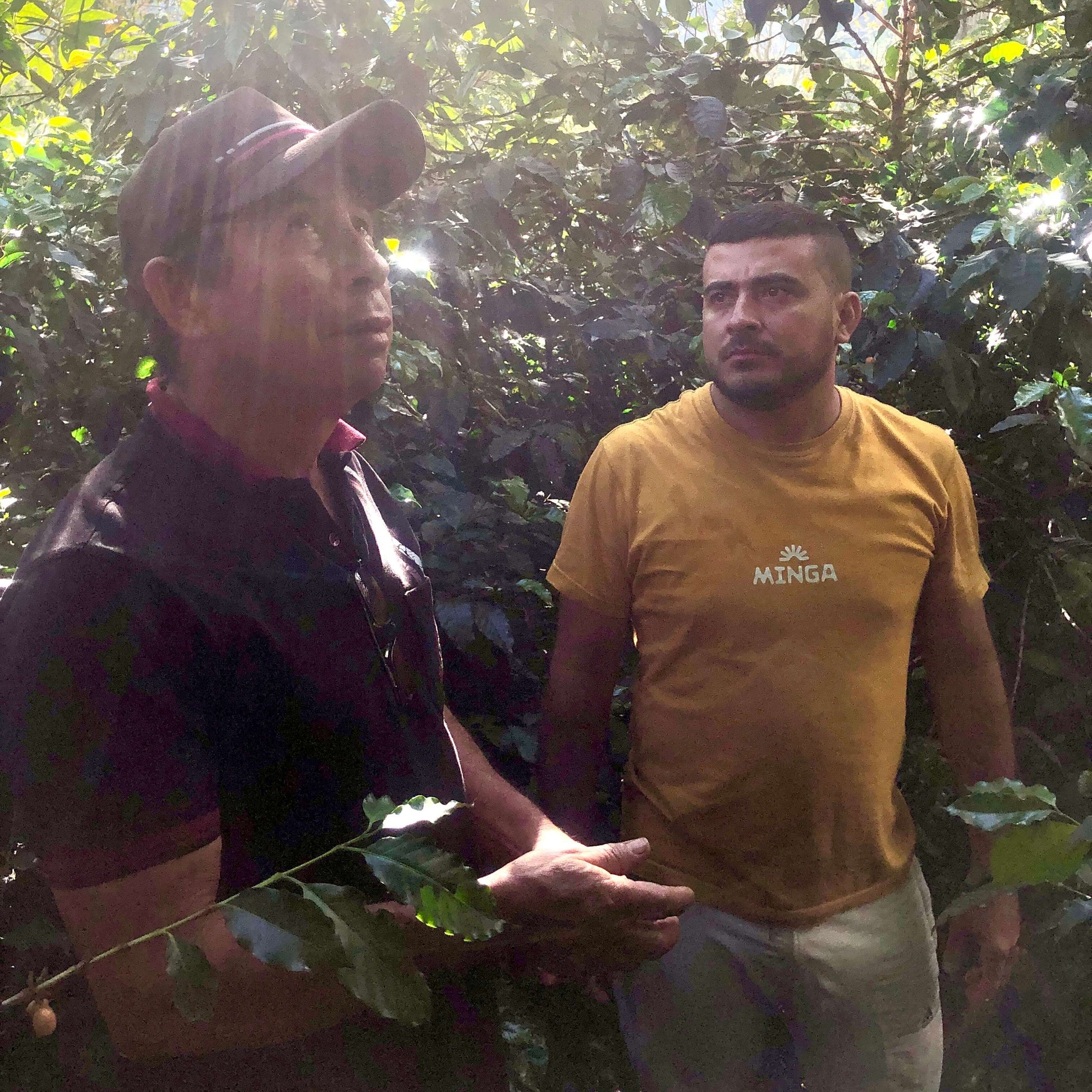 Producteurs de café en Colombie