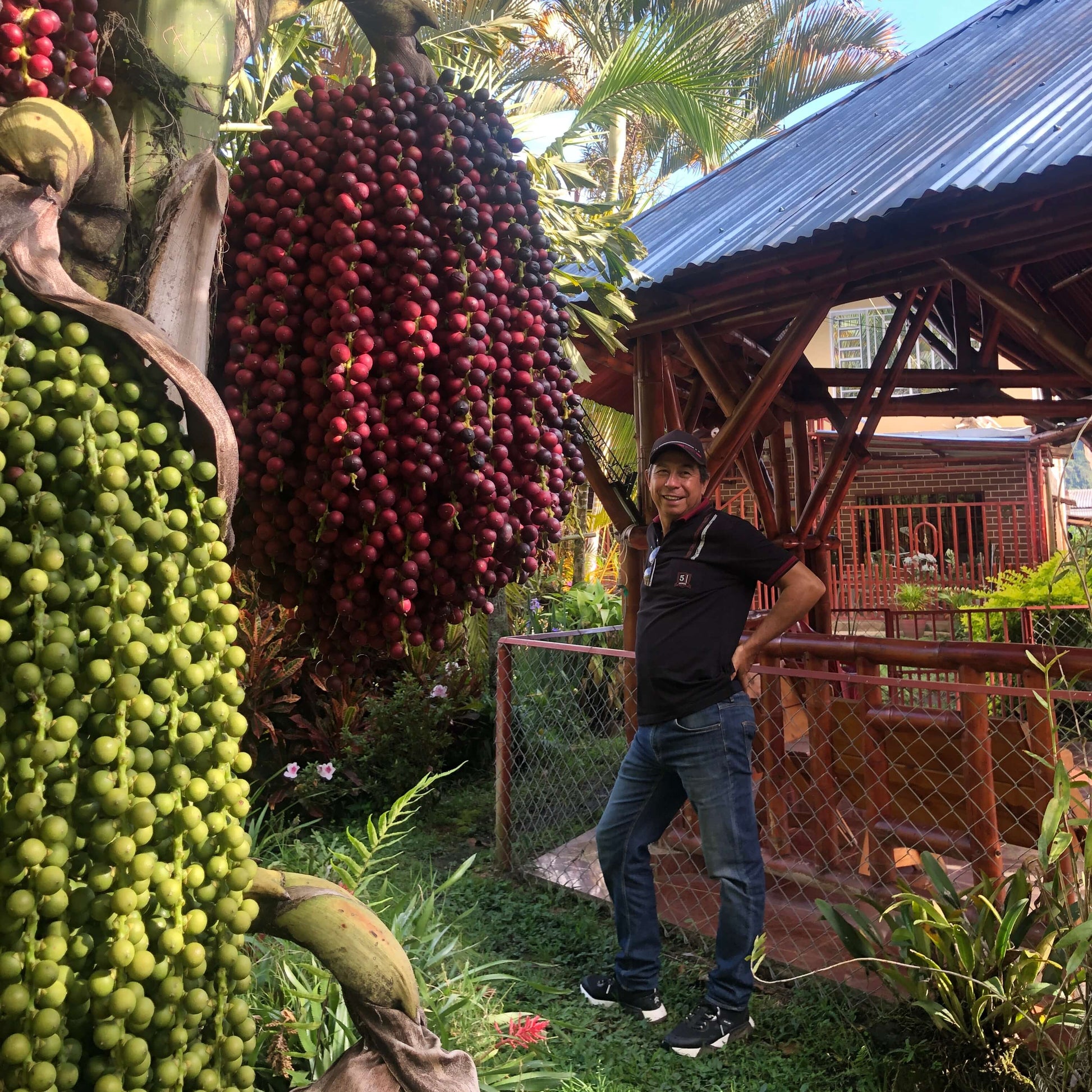 Producteur de café à Huila en Colombie