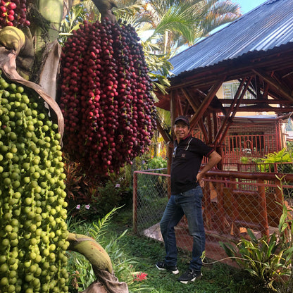 Producteur de café à Huila en Colombie