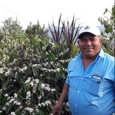 Producteur de café au Honduras