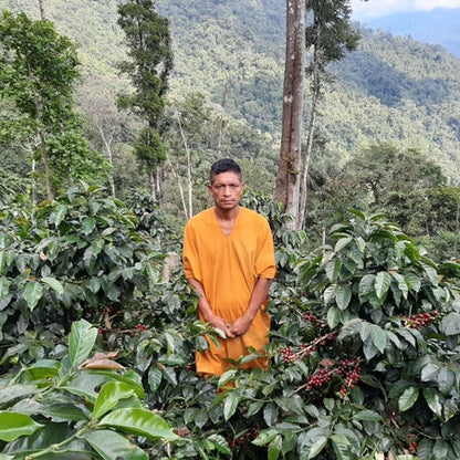 Producteur de café au pérou