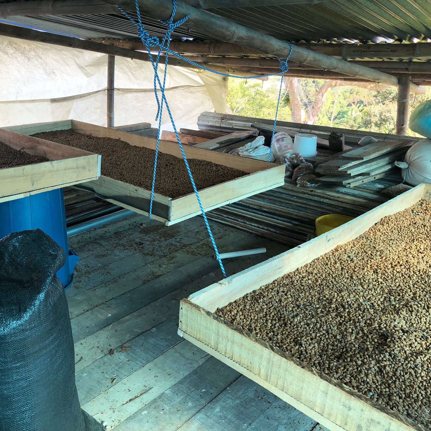 Café Colombie - Castillo