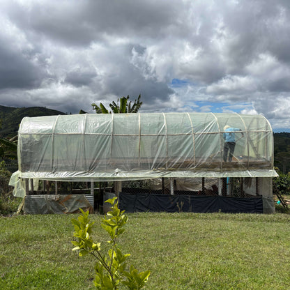 Café Colombie - Castillo