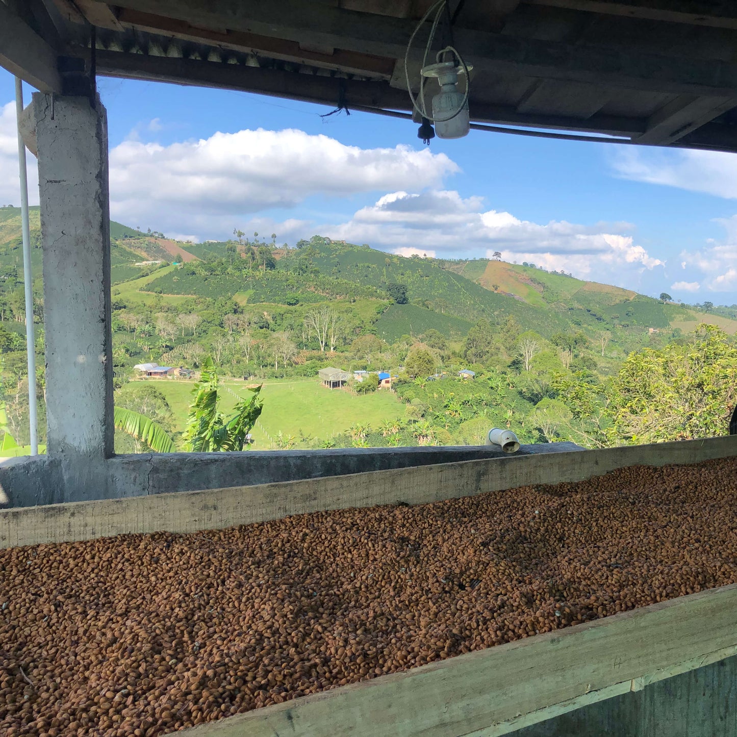 Café Colombie - Castillo