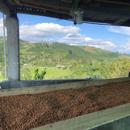 Café Colombie - Castillo