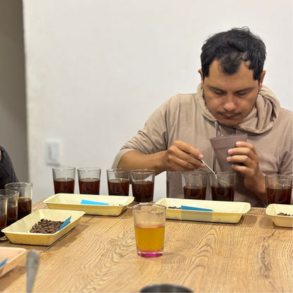 Cupping de café en colombie