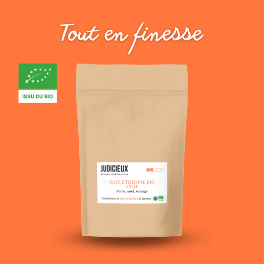 Café Guji d'Ethiopie Torréfacteur à Nantes
