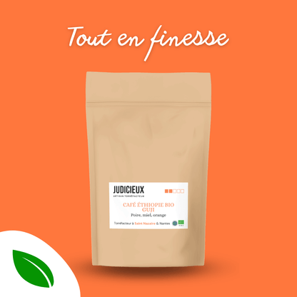 Café Guji Éthiopie Torréfacteur à Nantes
