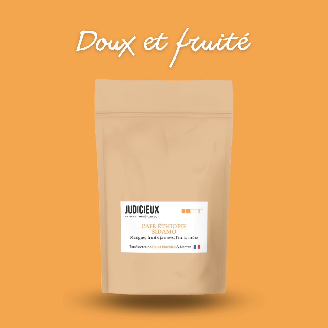 Café Ethiopie Sidamo Torréfacteur Nantes