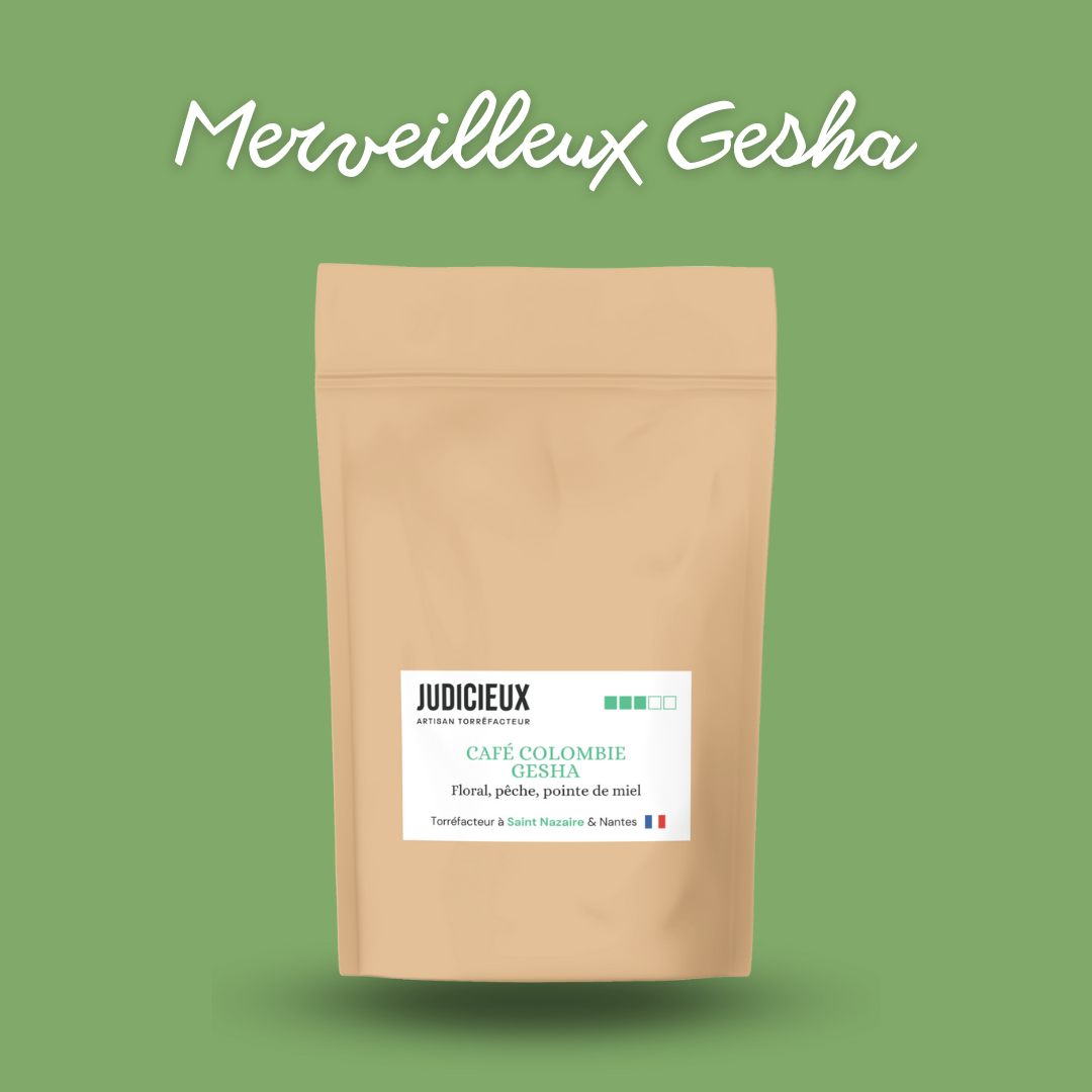 Café Gesha Colombie Torréfacteur Nantes