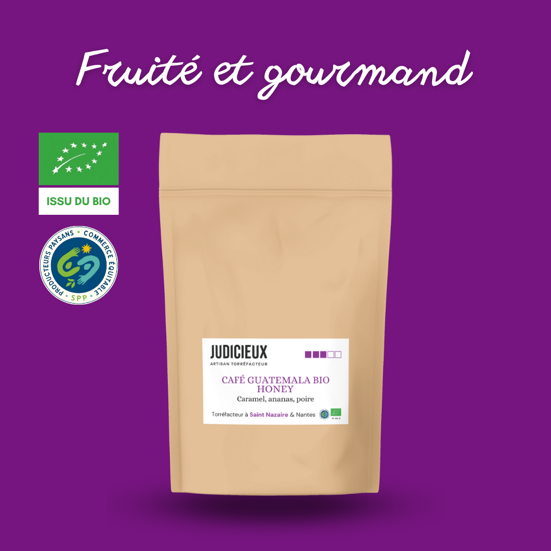 Cafe Guatemala Honey Judicieux Torrefacteur