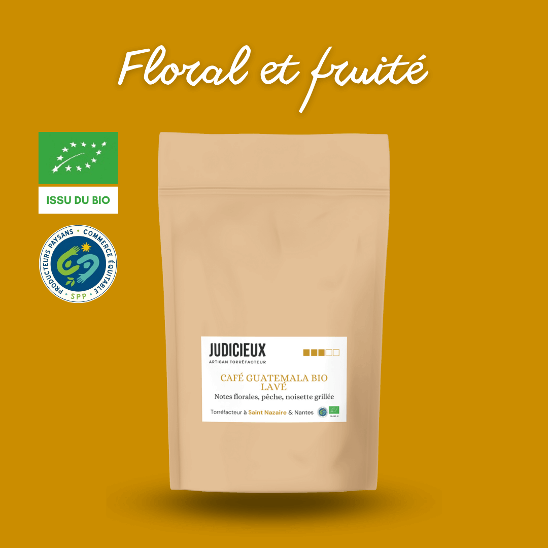 Café Guatemala Judicieux Torrefacteur Nantes