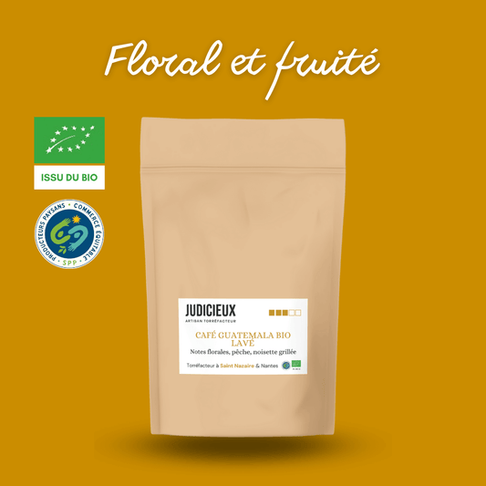 Café Guatemala Judicieux Torrefacteur Nantes