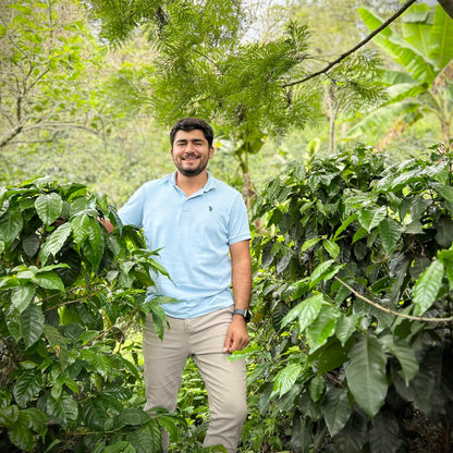 Bryan Producteur de café au Honduras