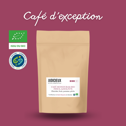 Cafe Honduras Judicieux Torrefacteur