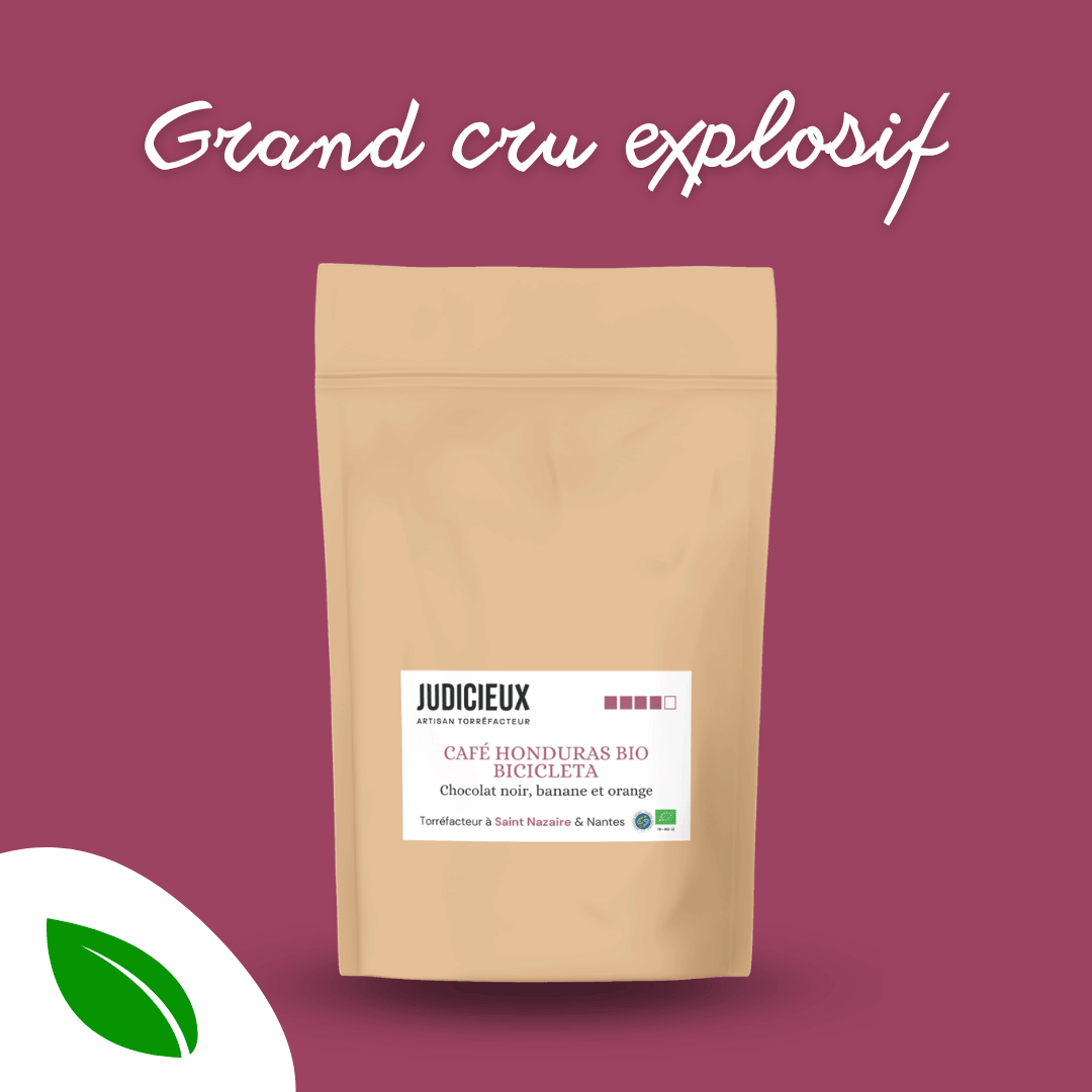 Café bio du Honduras Torréfacteur à Nantes