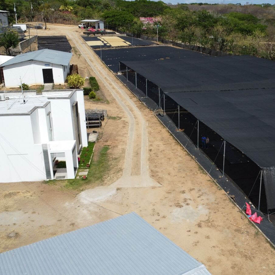 Production de café au Nicaragua