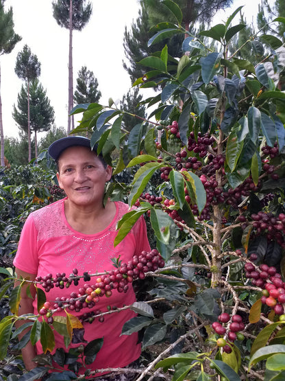 ARMONIA, Perù, BIOLOGICO, SPP, potente