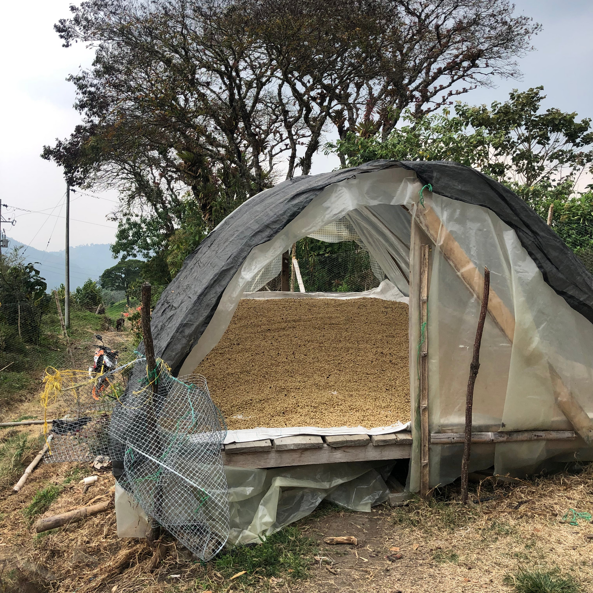 Finca de Café en Colombie