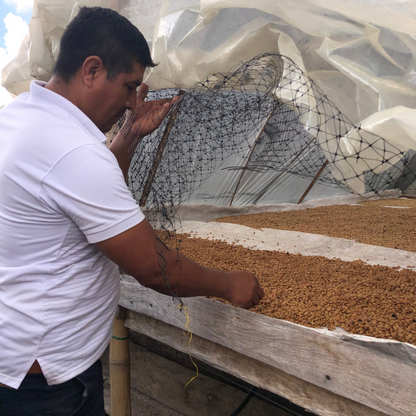 Finca de Café en colombie