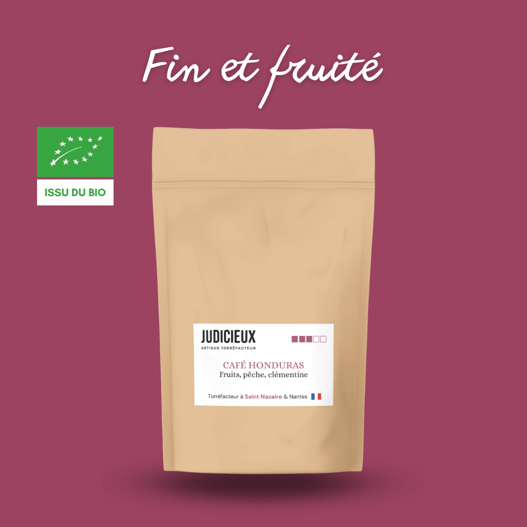 ACQUE DI MARTE, Brasile, dolce 