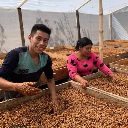 Séchage Café Honey Judicieux Torréfacteur