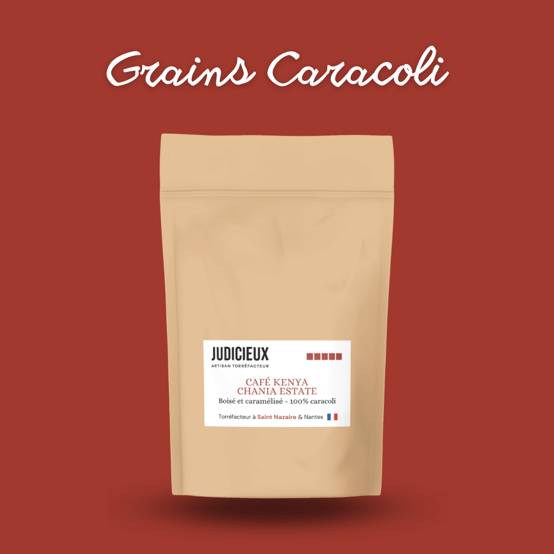 Café Caracoli du Kenya Judicieux Torréfacteur