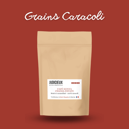 Café Caracoli du Kenya Judicieux Torréfacteur