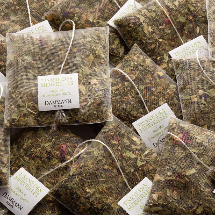 Sachets Tisane des Merveilles Dammann Frères Boite