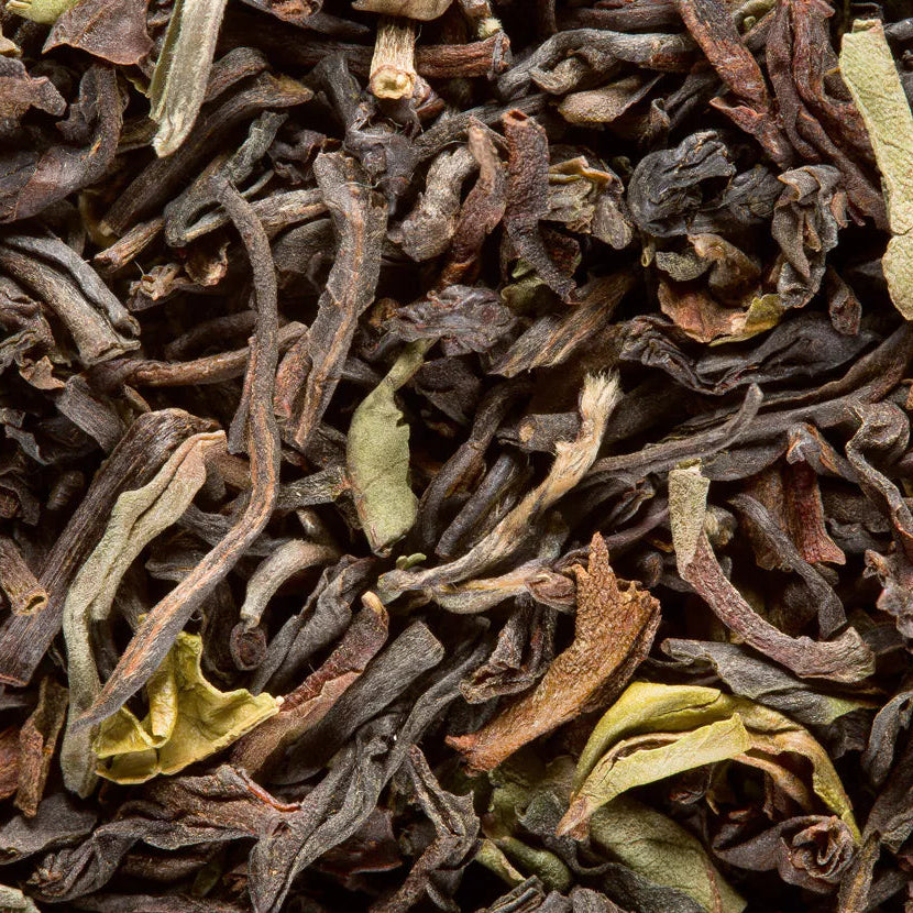 Thé noir d'Inde Dammann - Darjeeling Jungpana G.F.O.P. 2nd flush