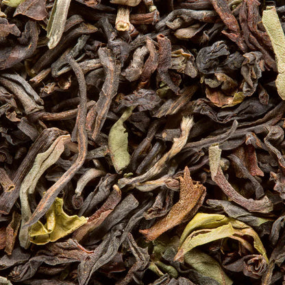 Thé noir d'Inde Dammann - Darjeeling Jungpana G.F.O.P. 2nd flush