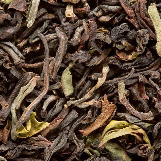 Thé noir d'Inde Dammann - Darjeeling Jungpana G.F.O.P. 2nd flush