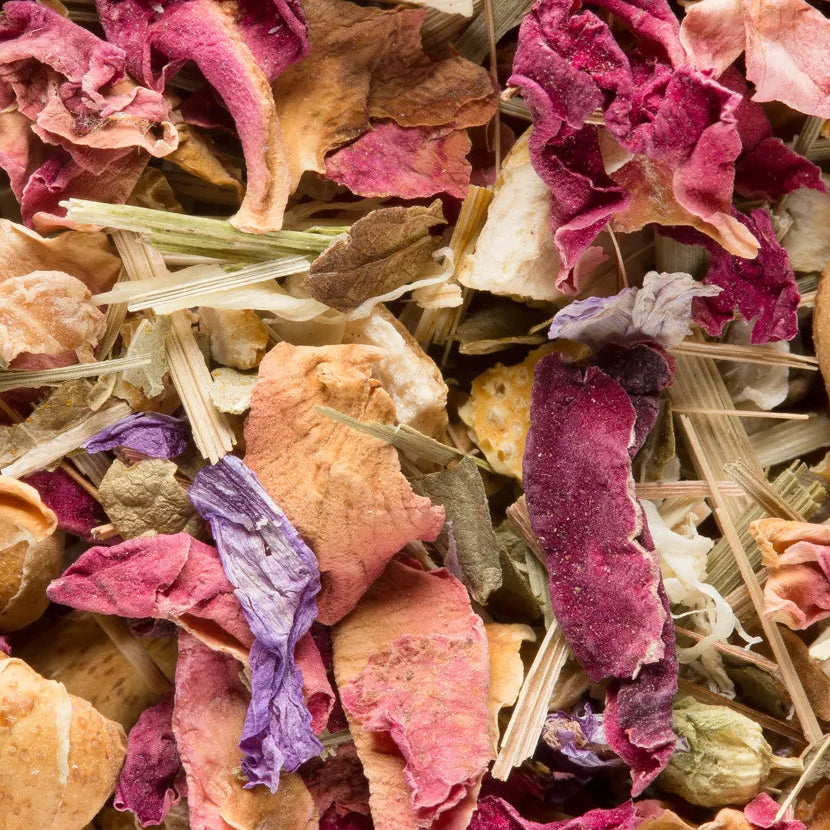 Tisane du Roy Dammann Frères à Nantes