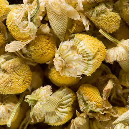 Tisane Camomille Dammann Frères Nantes