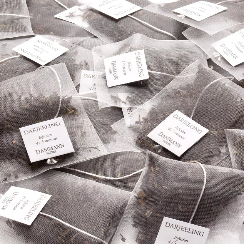 Darjeeling Sachets Dammann Frères Nantes