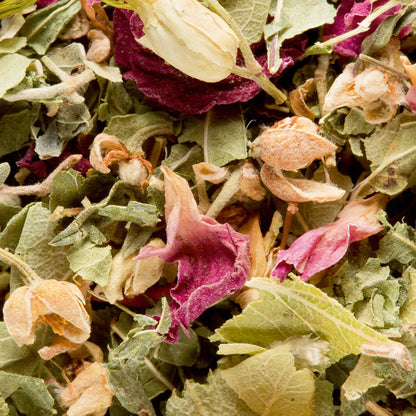 Tisane Bali Dammann Frères à Nantes